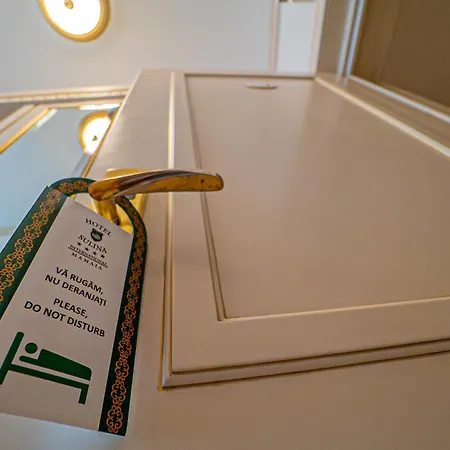 Sulina International Hotel 4*