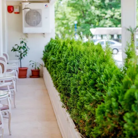 Sulina International 4* Mamaia